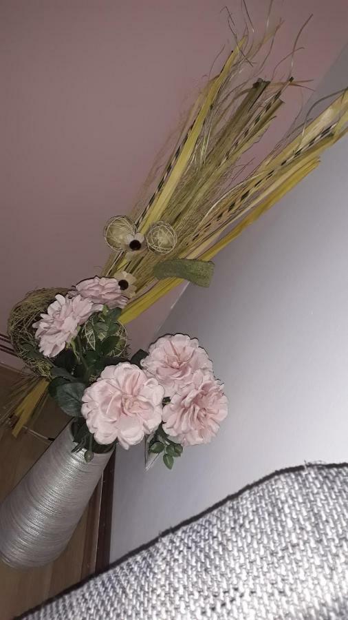 Apartman Patrik Slunj Bagian luar foto