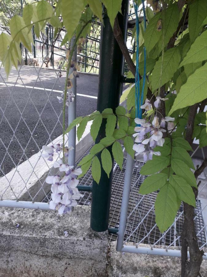 Apartman Patrik Slunj Bagian luar foto